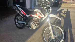 Betamotor Alp 4.0 (2008 - 17)  (4)