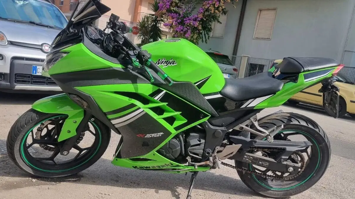 Kawasaki Ninja 300 (2012 - 14)  (2)