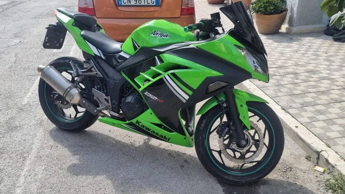 Kawasaki Ninja 300 (2012 - 14)  (3)