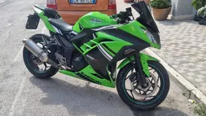 Kawasaki Ninja 300 (2012 - 14)  (3)