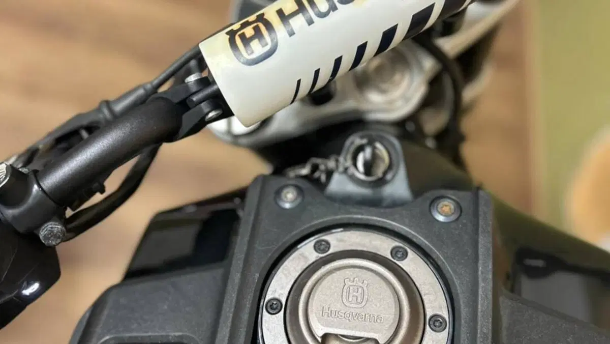 Husqvarna Svartpilen 401 (2018 - 19)  (5)