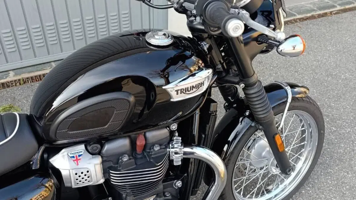 Triumph Bonneville T100 (2017 - 20)  (2)