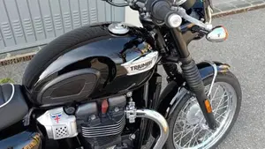Triumph Bonneville T100 (2017 - 20)  (2)