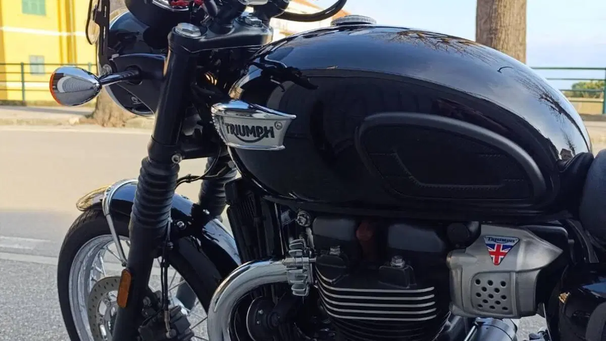 Triumph Bonneville T100 (2017 - 20)  (5)