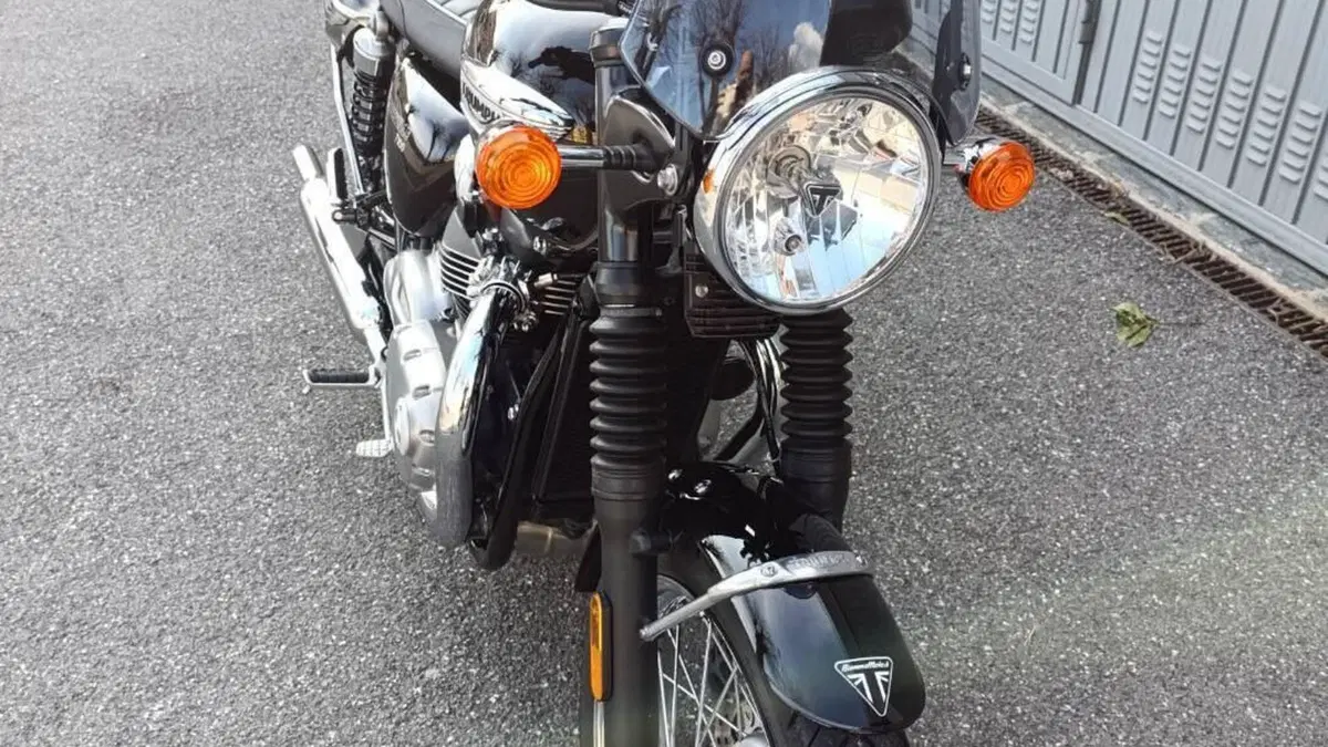 Triumph Bonneville T100 (2017 - 20)  (6)