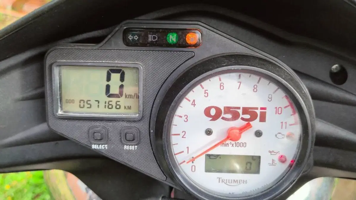 Triumph Speed Triple 955 (2002 - 04)  (4)