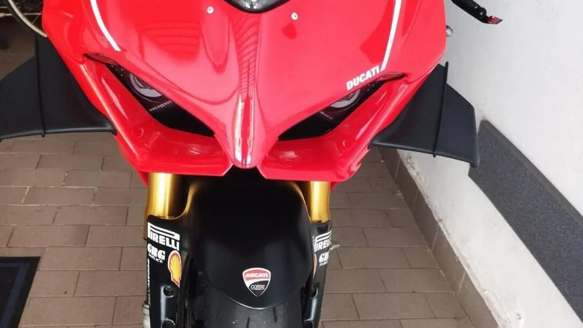 Ducati Panigale V4 1100 (2018 - 19) 