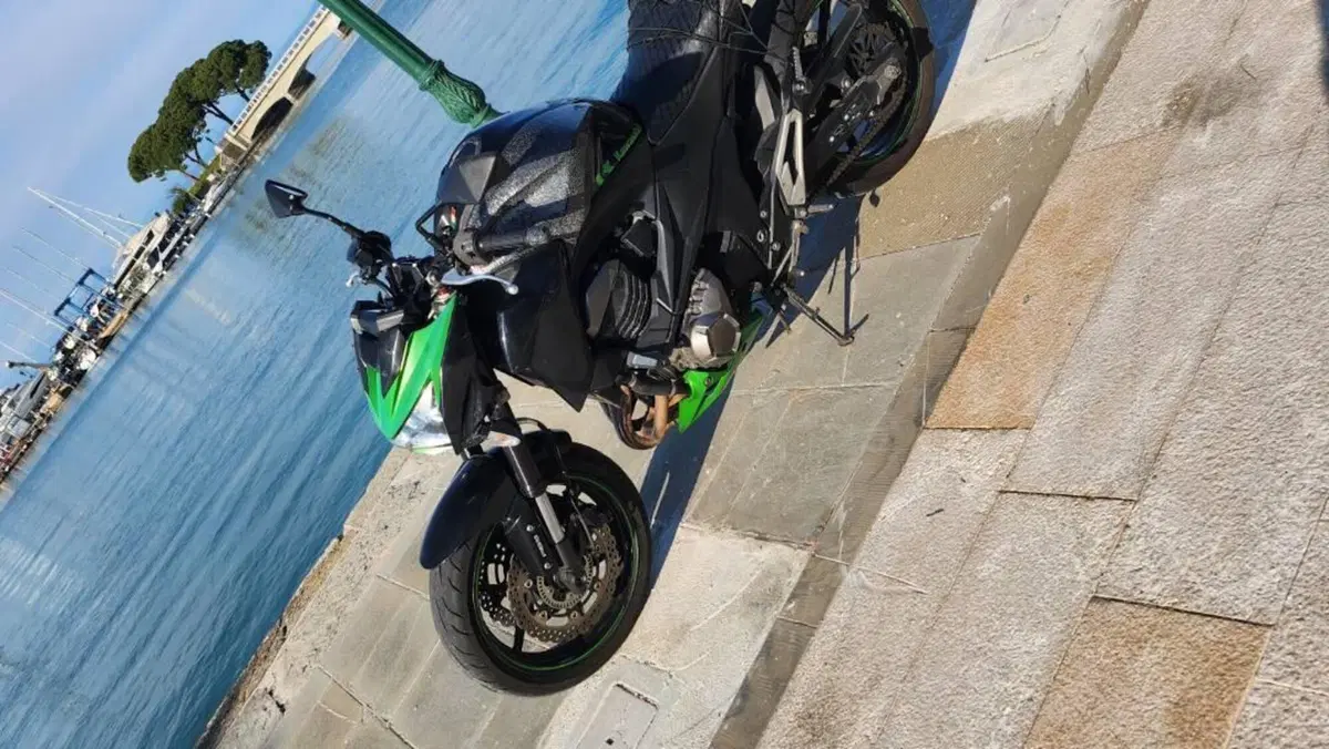 Kawasaki Z 800 Performance ABS (2013)  (2)