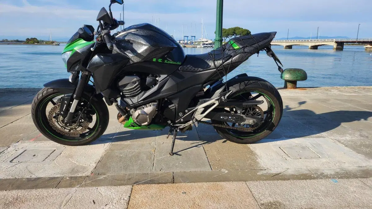 Kawasaki Z 800 Performance ABS (2013)  (3)