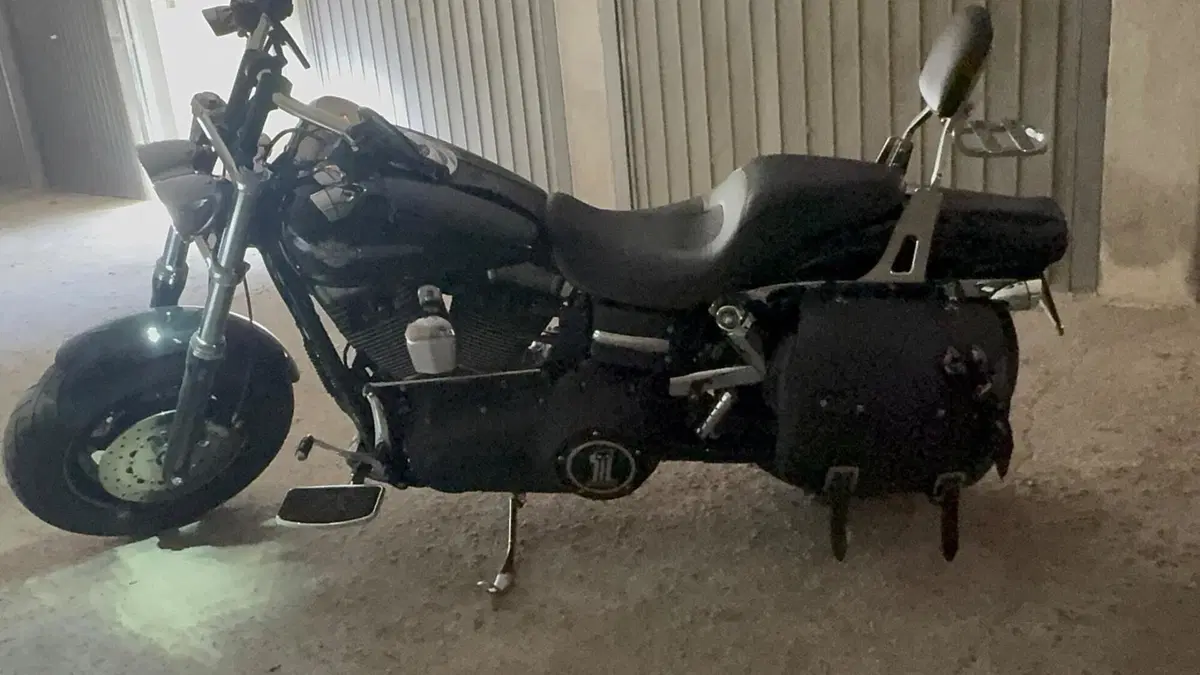 Harley-Davidson 1584 Fat Bob (2007 - 13) - FXDF  (6)