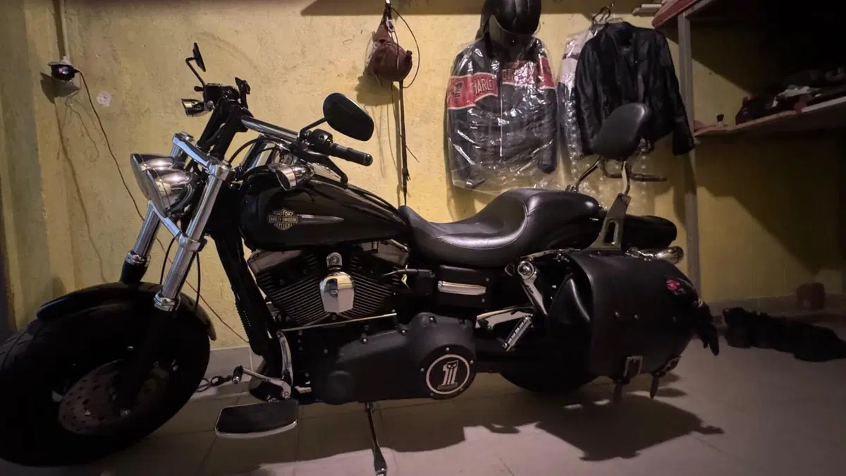 Harley-Davidson 1584 Fat Bob (2007 - 13) - FXDF  (2)