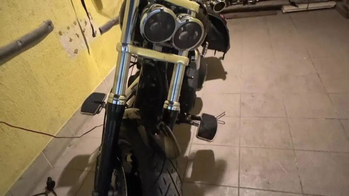 Harley-Davidson 1584 Fat Bob (2007 - 13) - FXDF  (5)