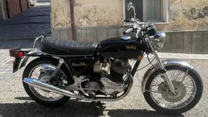 Norton  
