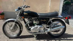 Norton   (3)