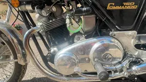 Norton   (5)