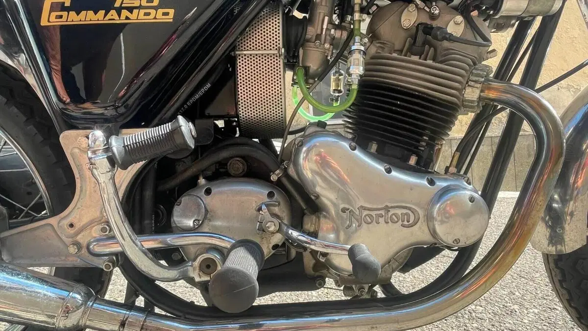 Norton   (6)