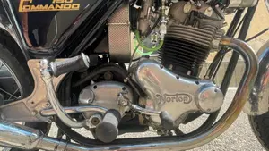 Norton   (6)