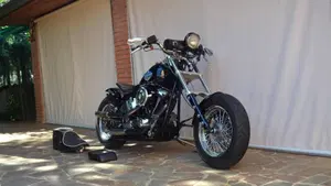 Harley-Davidson 1340 Custom (1989 - 98)  (2)