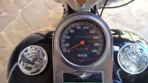 Harley-Davidson 1340 Custom (1989 - 98)  (9)