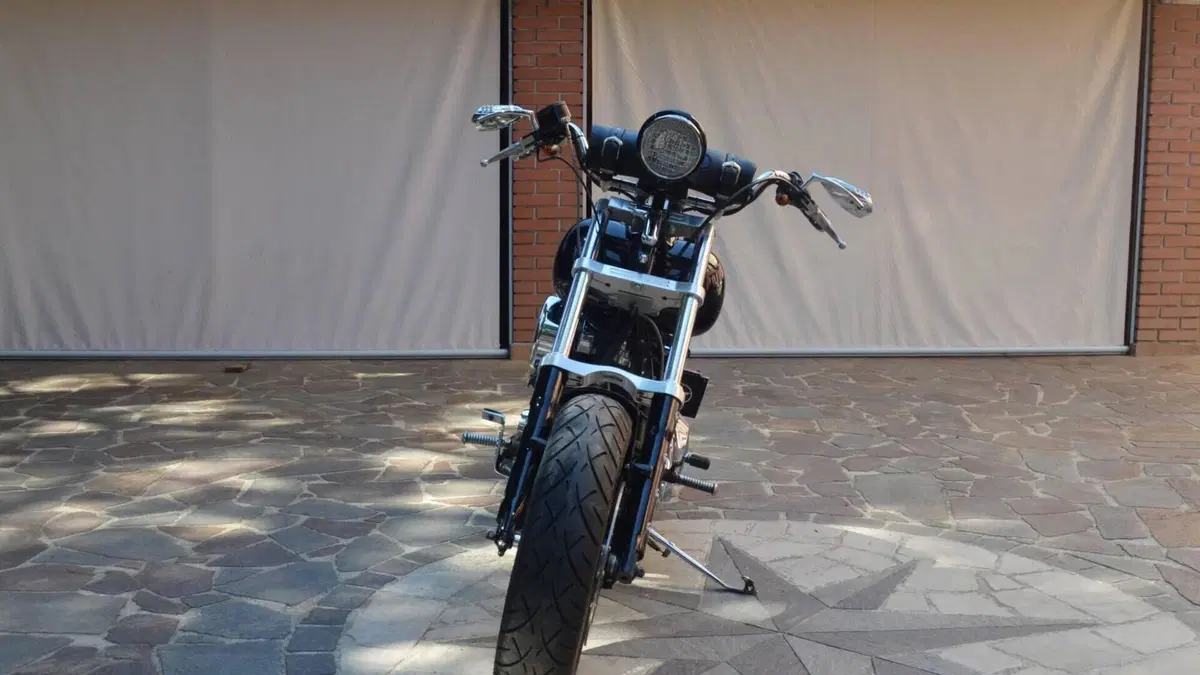 Harley-Davidson 1340 Custom (1989 - 98)  (3)