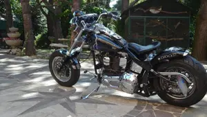 Harley-Davidson 1340 Custom (1989 - 98)  (6)