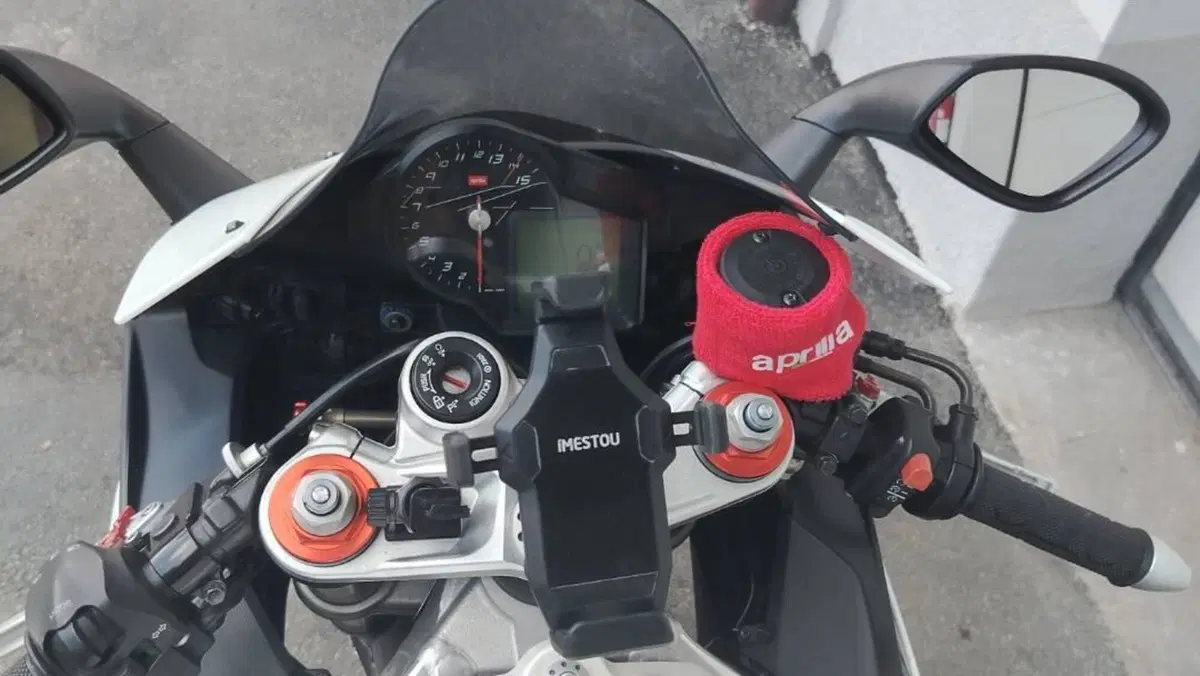 Aprilia RSV4 R (2009 - 12)  (17)