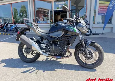 Kawasaki Z 500 (2024 - 26) - Annuncio 10080275