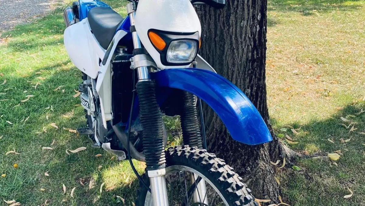 Suzuki DR-Z 400 E (2000- 06)  (2)