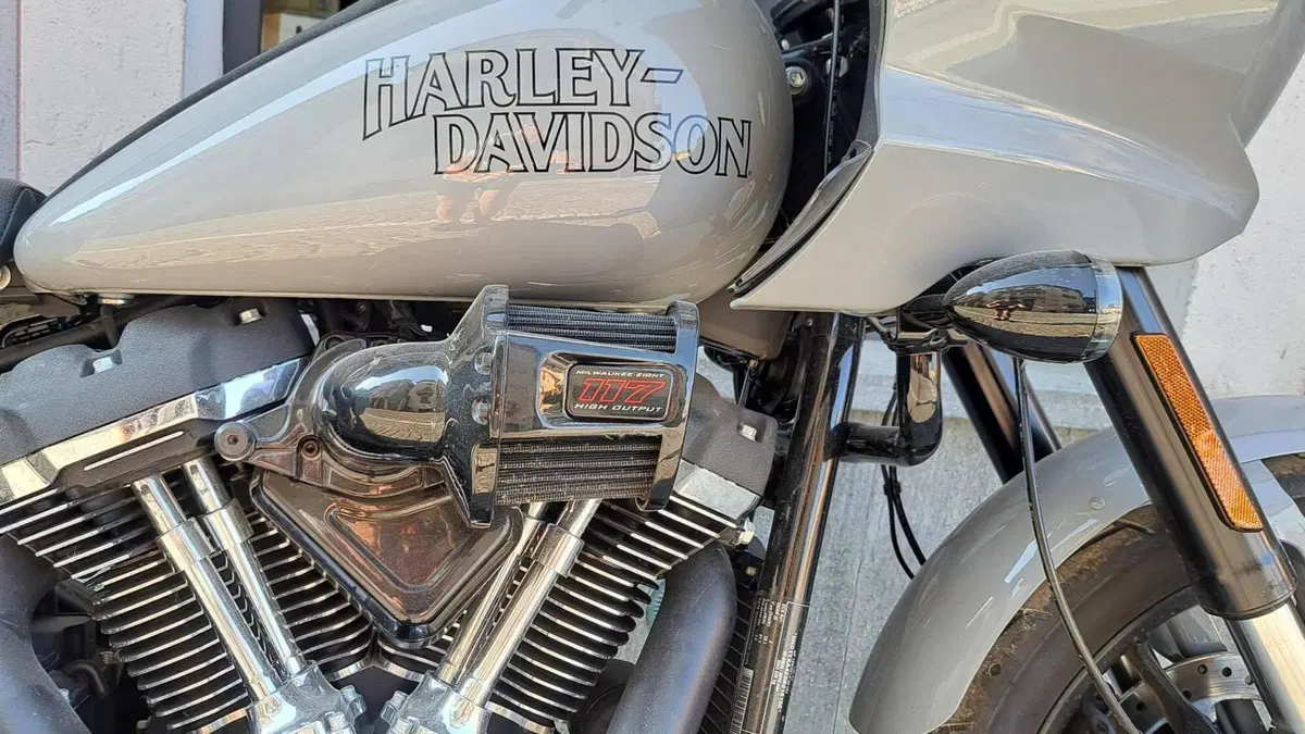 Harley-Davidson Low Rider ST (2025 - 26)  (3)