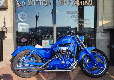 Harley-Davidson Sportster 883 XLH 1993 - Annuncio 10080529