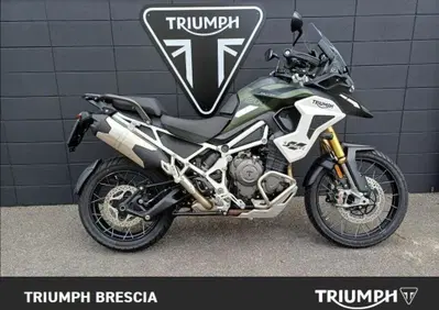 Triumph Tiger 1200 Rally Pro (2024 - 26) - Annuncio 10080526