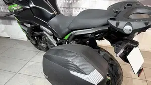 Kawasaki Versys 650 (2021 - 24)  (3)