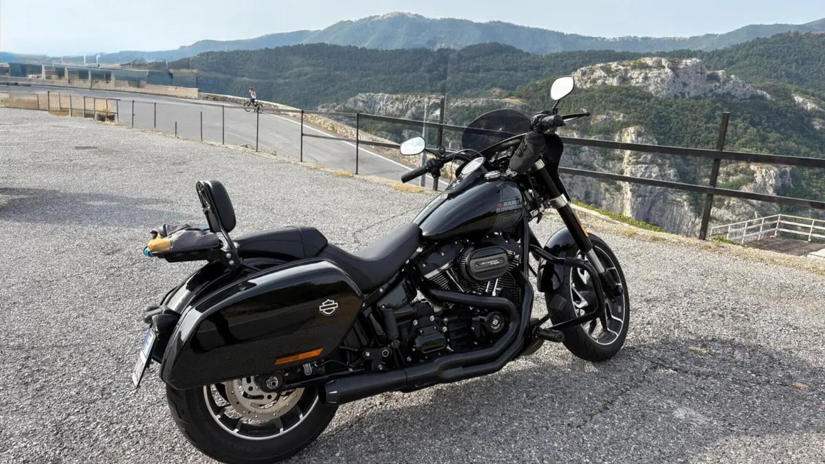 Harley-Davidson Sport Glide (2021 - 25)  (6)