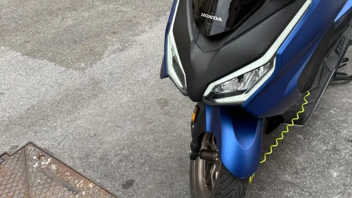 Honda Forza 350 (2022 - 24)  (3)