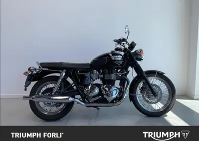 Triumph Bonneville T100 (2008 - 16) - Annuncio 10040211