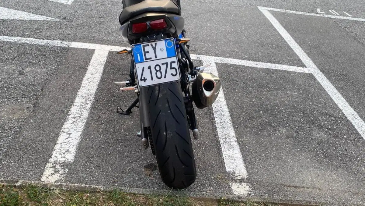 Suzuki SV650 (2021 - 24)  (4)
