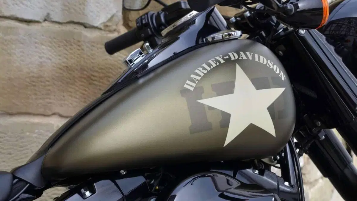 Harley-Davidson 1800 Slim S (2015 - 17) - FLS  (8)