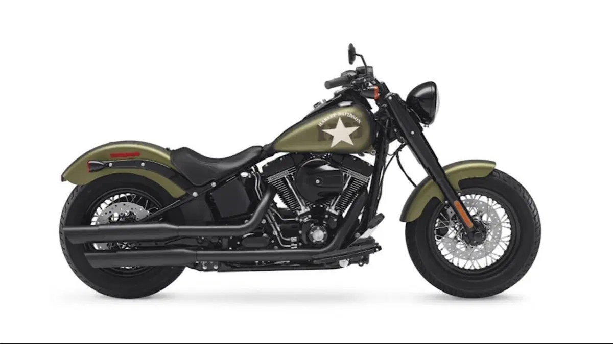 Harley-Davidson 1800 Slim S (2015 - 17) - FLS  (17)