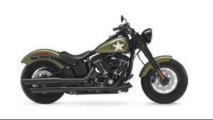 Harley-Davidson 1800 Slim S (2015 - 17) - FLS  (17)