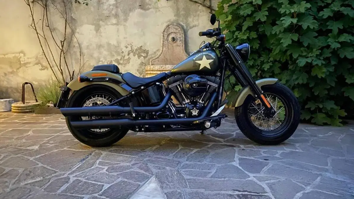 Harley-Davidson 1800 Slim S (2015 - 17) - FLS  (2)