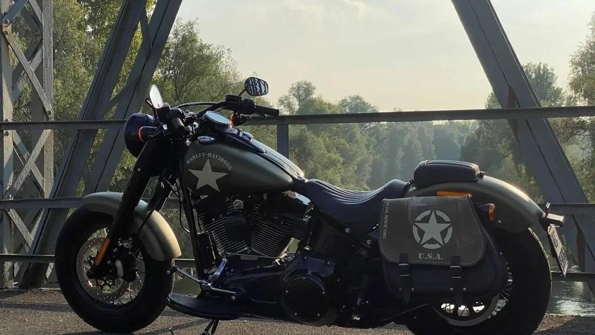 Harley-Davidson 1800 Slim S (2015 - 17) - FLS  (3)