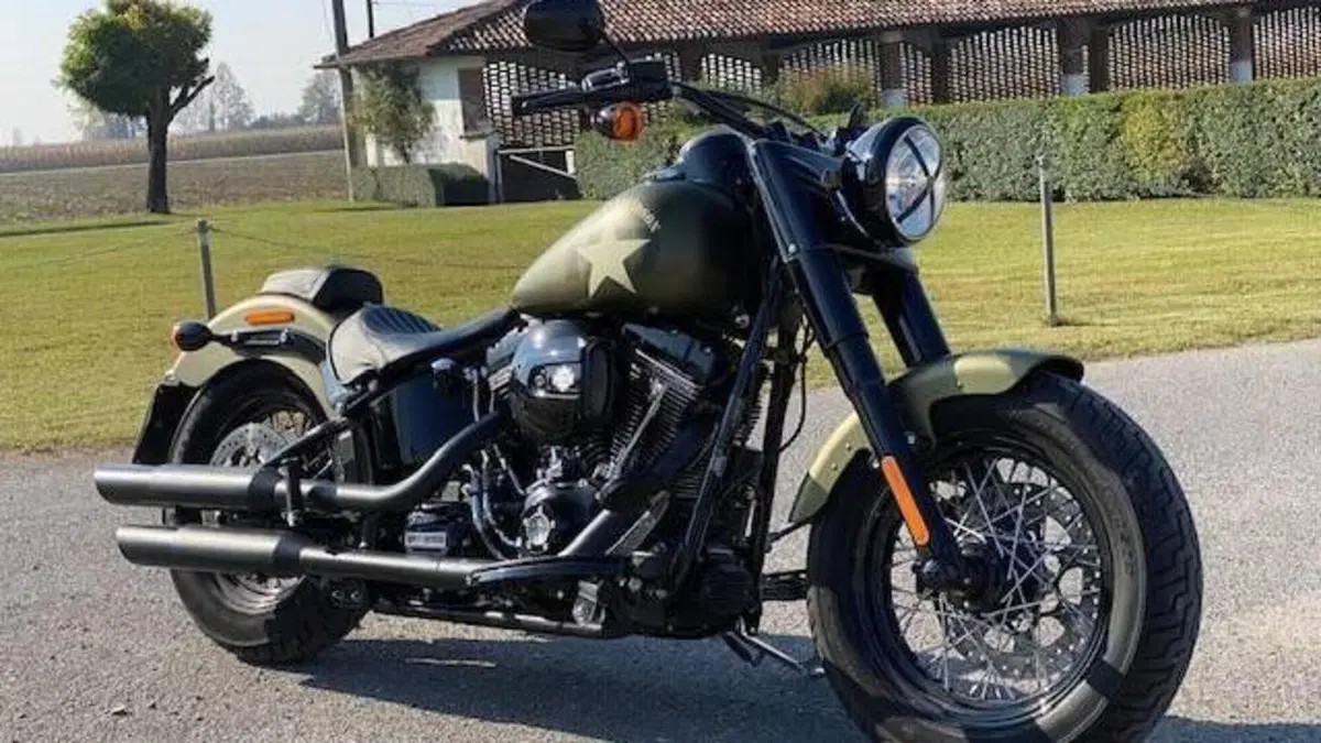 Harley-Davidson 1800 Slim S (2015 - 17) - FLS  (7)