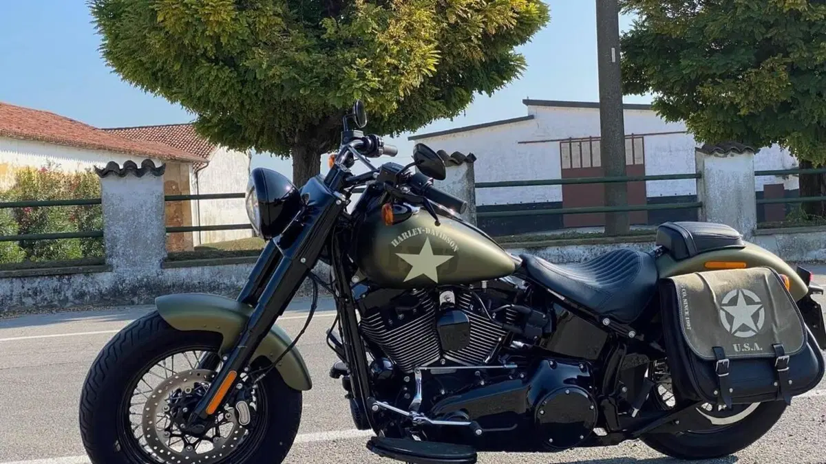 Harley-Davidson 1800 Slim S (2015 - 17) - FLS  (9)