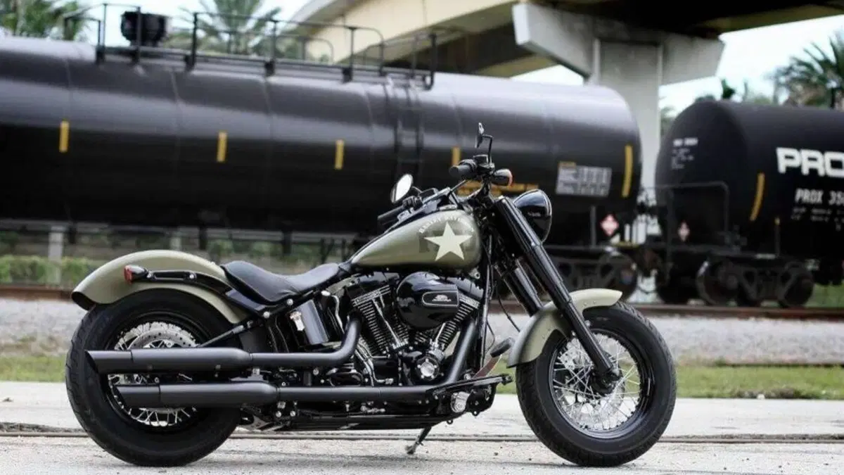 Harley-Davidson 1800 Slim S (2015 - 17) - FLS  (16)