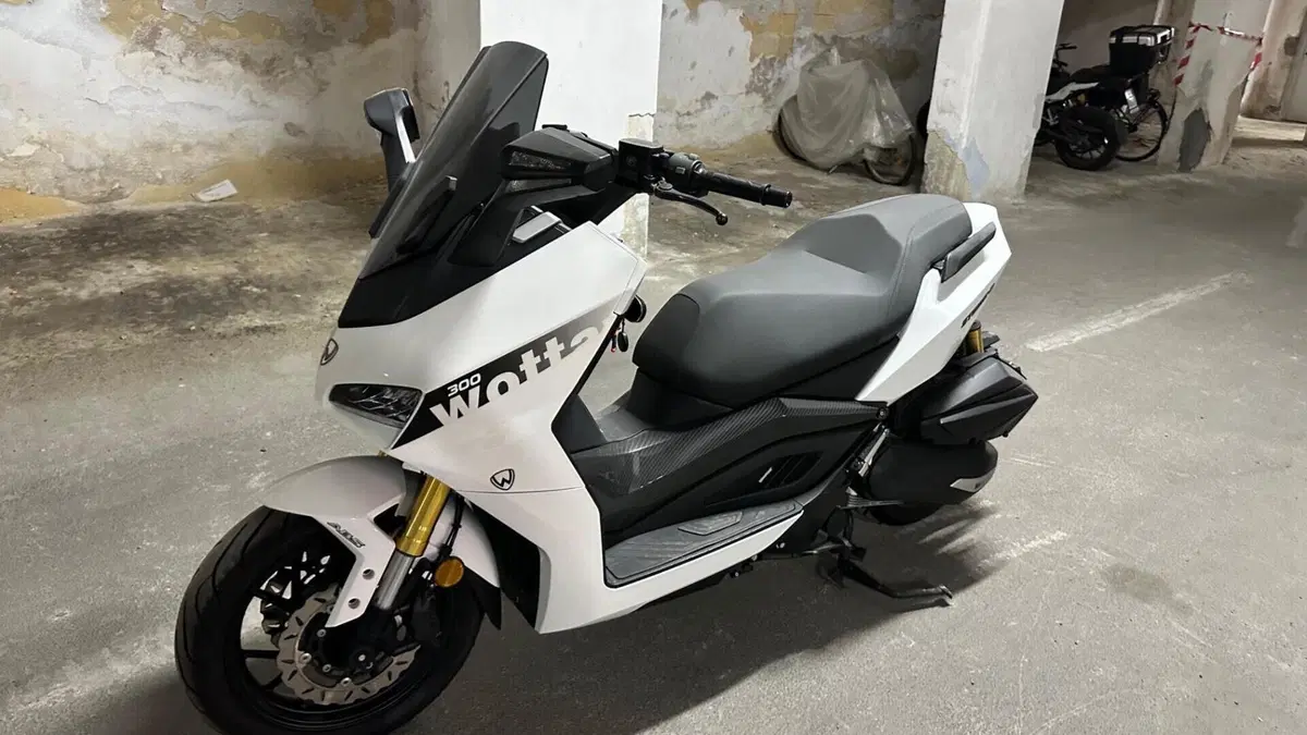 Wottan Motor Storm-R 300 (2023 - 25) 