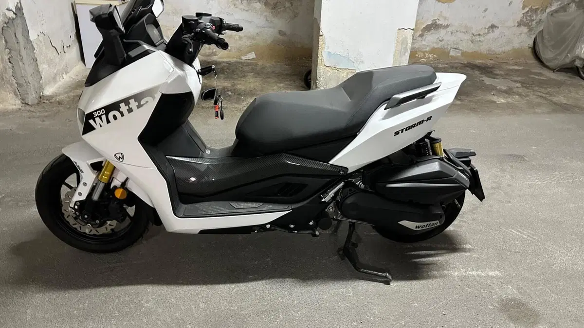 Wottan Motor Storm-R 300 (2023 - 25)  (4)