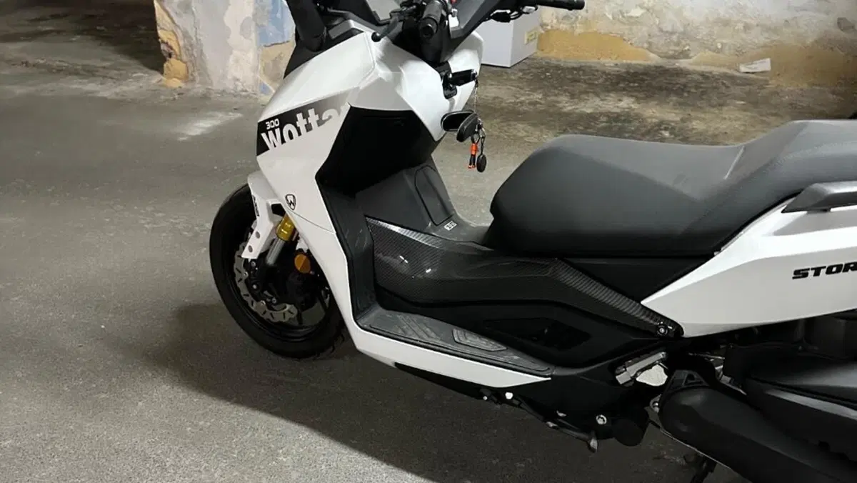 Wottan Motor Storm-R 300 (2023 - 25)  (6)