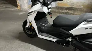 Wottan Motor Storm-R 300 (2023 - 25)  (6)