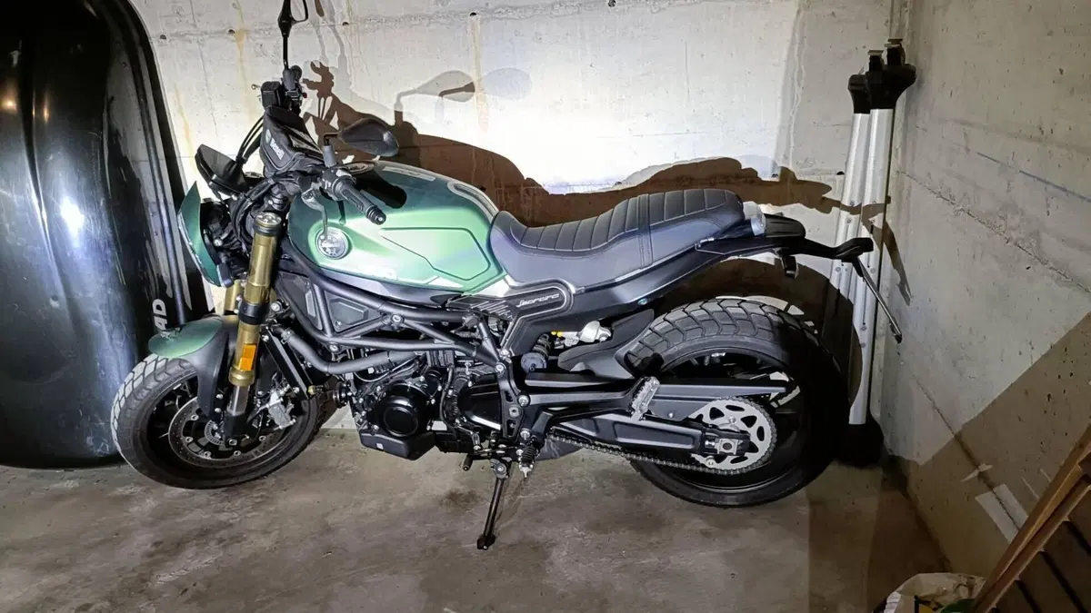 Benelli Leoncino 800 (2022 - 26)  (2)