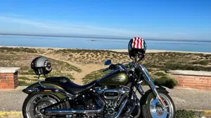 Harley-Davidson Fat Boy 114 (2021 - 24)  (3)